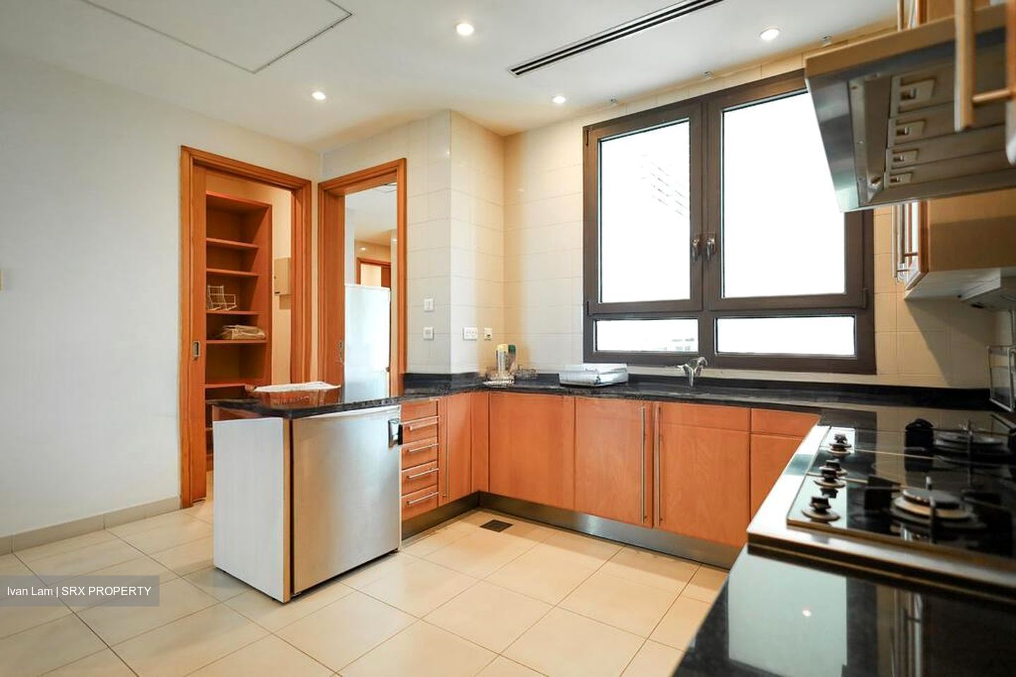 Ardmore Park (D10), Condominium #500168471